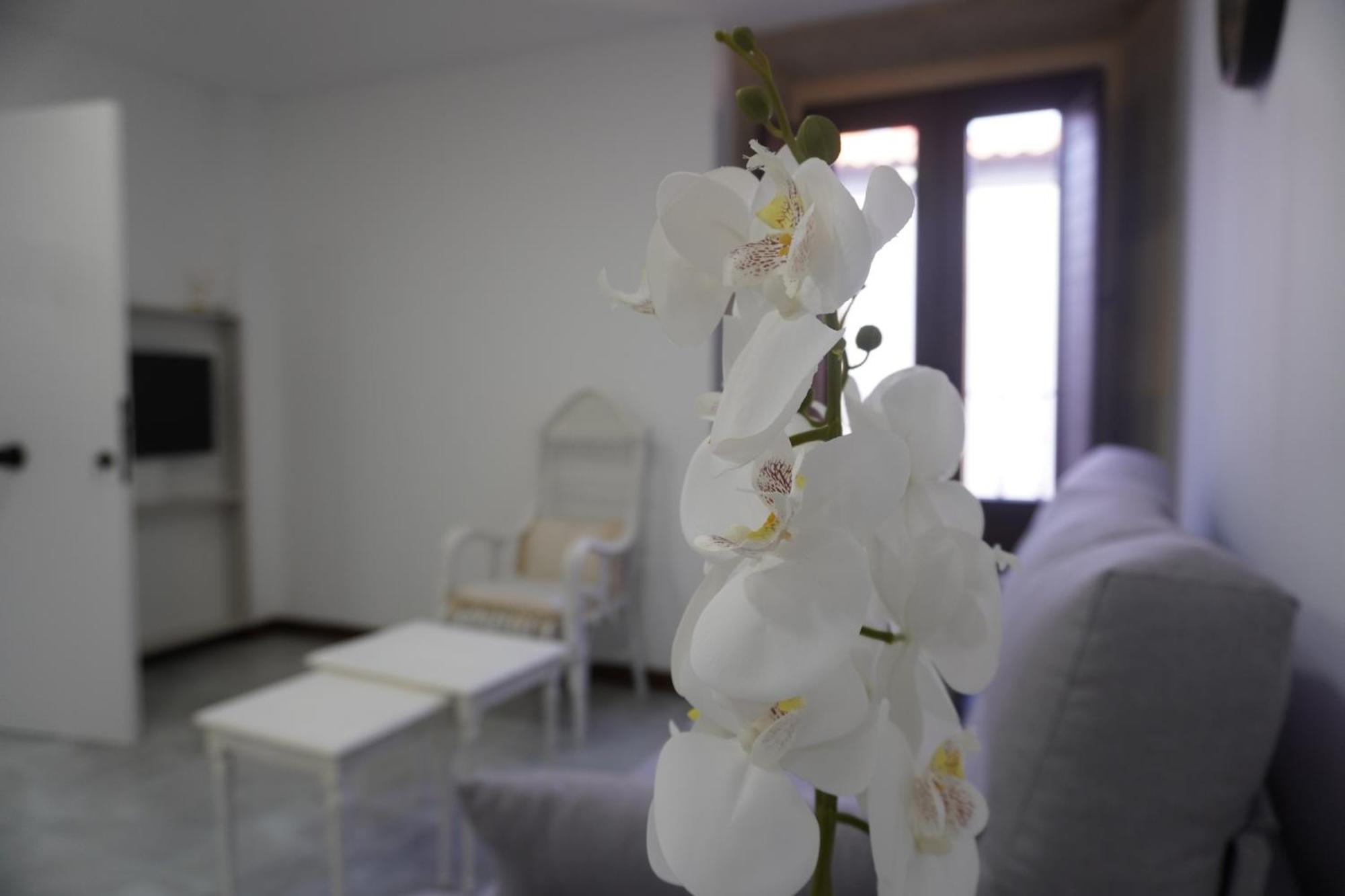 Apartamento Sanin 3 Lumbrales 外观 照片
