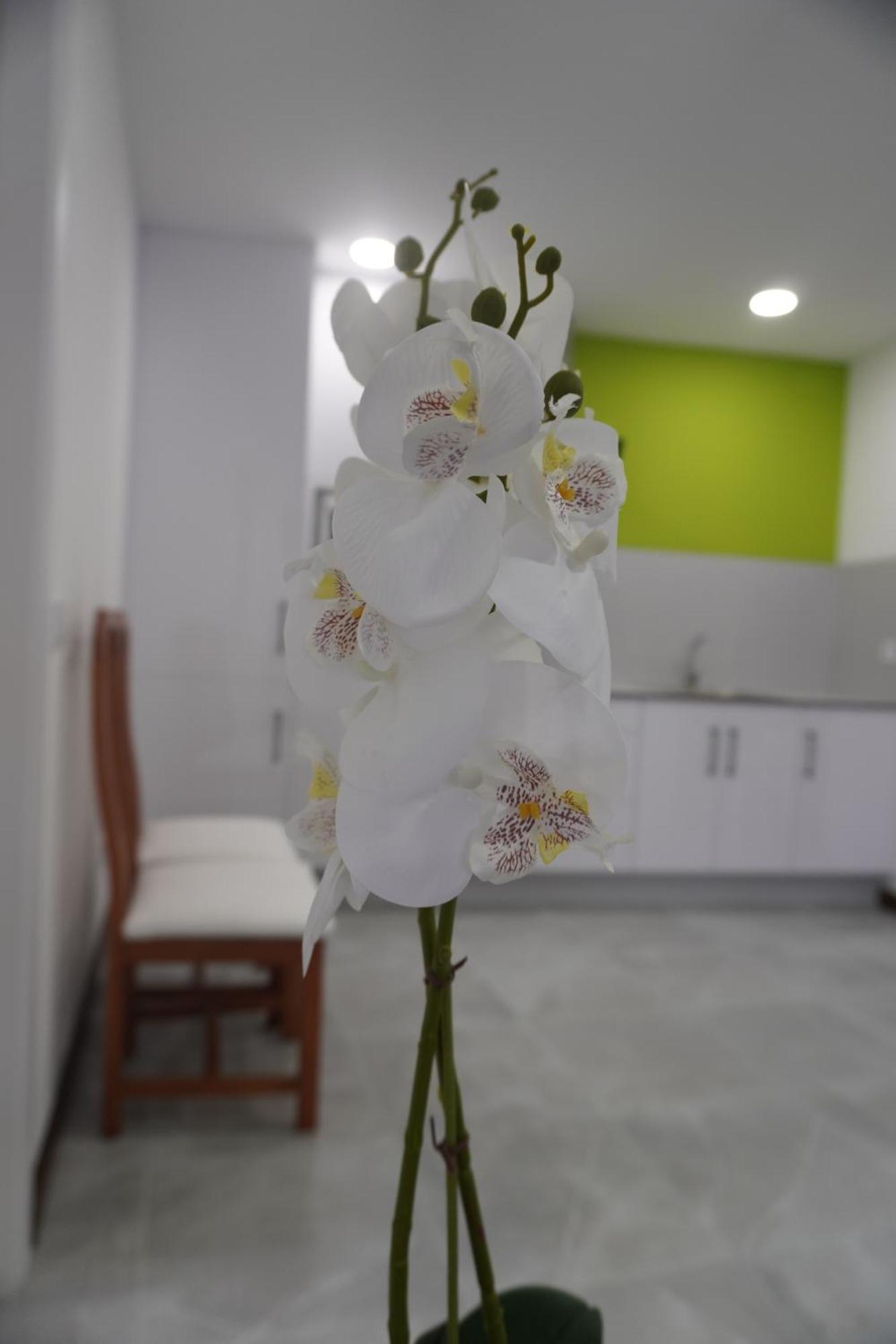 Apartamento Sanin 3 Lumbrales 外观 照片